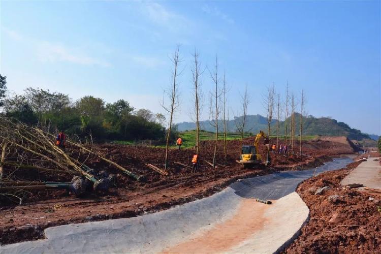 梁平溪流型花境景观大道加速打造，绿化工程成效初显