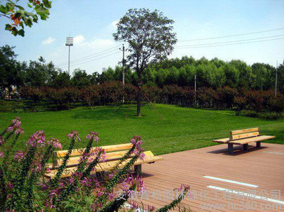 城市绿化的艺术与科学——绿化景观工程在现代建设中的核心价值