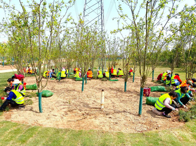 西咸新区沣西新城 以绿为笔，绘就诗意栖居的时代长卷