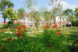 雅色村绿化工程竣工 生态画卷添新景，高清美图共赏时