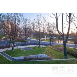 初见园林 专业打造佛山别墅绿意空间，一站式服务省心省力